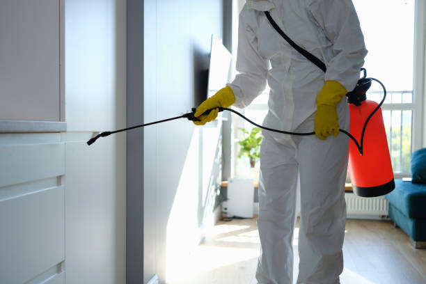 Best Emergency Mold Removal  in Pomona, CA