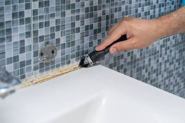 Best Mold Testing  in Pomona, CA