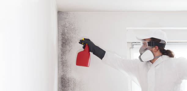 Water Damage Restoration in Pomona, CA