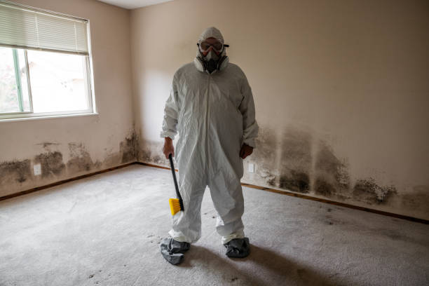 Best Mold Testing  in Pomona, CA